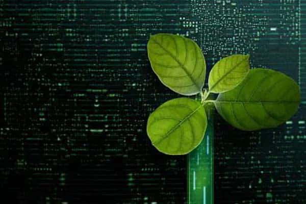 Enhancing Renewable Energy Traceability Through Blockchain Technology